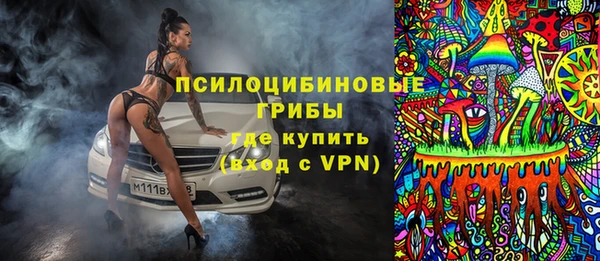 гашик Богородицк