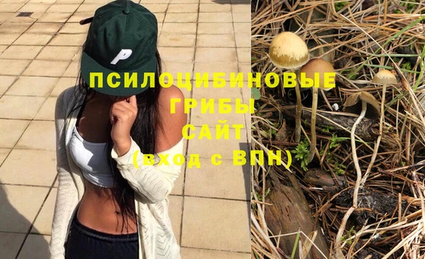 гашик Богородицк