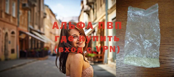 спайс Богданович