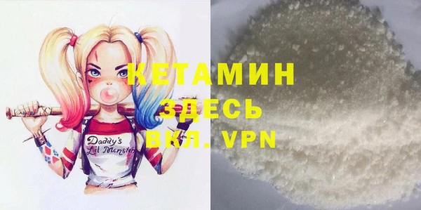 шишки Бородино
