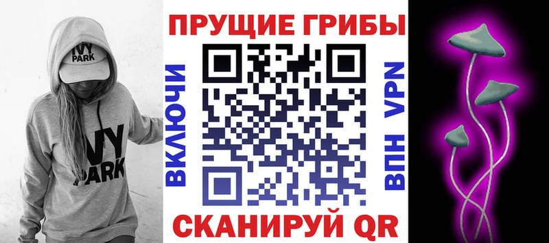гидра ссылка где купить наркоту Гуково Псилоцибиновые грибы прущие грибы
